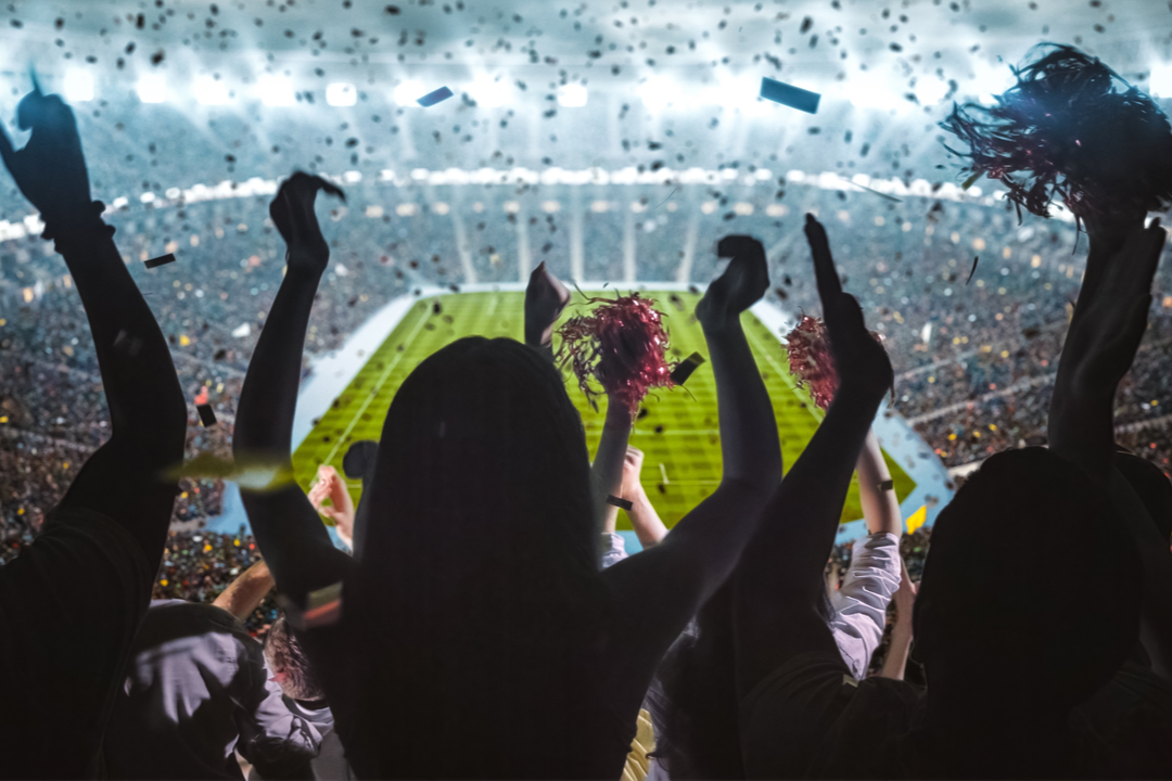 A group of sports fans cheering their team.